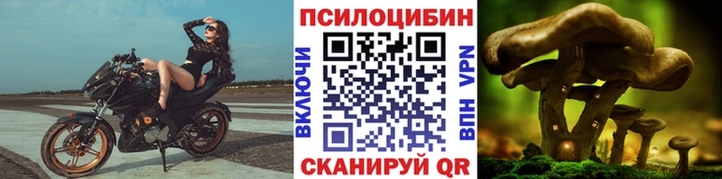 Псилоцибиновые грибы мухоморы  маркетплейс как зайти  Лахденпохья 